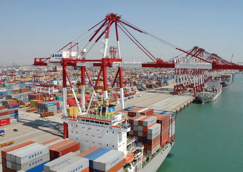 上海機(jī)場(chǎng)國(guó)際快遞進(jìn)口報(bào)關(guān)與代理服務(wù)詳解