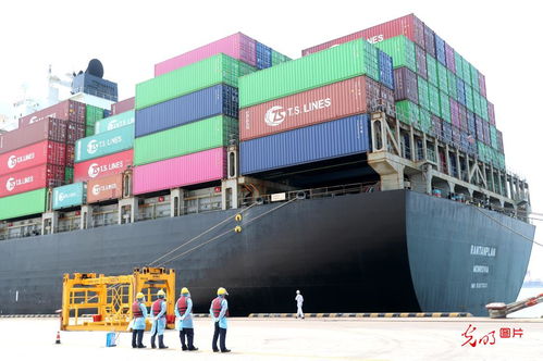 5月份山東外貿(mào)進(jìn)出口創(chuàng)歷史新高，貨物貿(mào)易表現(xiàn)強(qiáng)勁