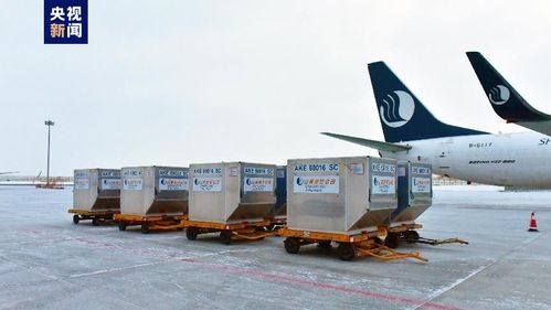 新疆首條定期國(guó)際貨運(yùn)航線正式通航，年貨運(yùn)吞吐量預(yù)計(jì)達(dá)3000噸